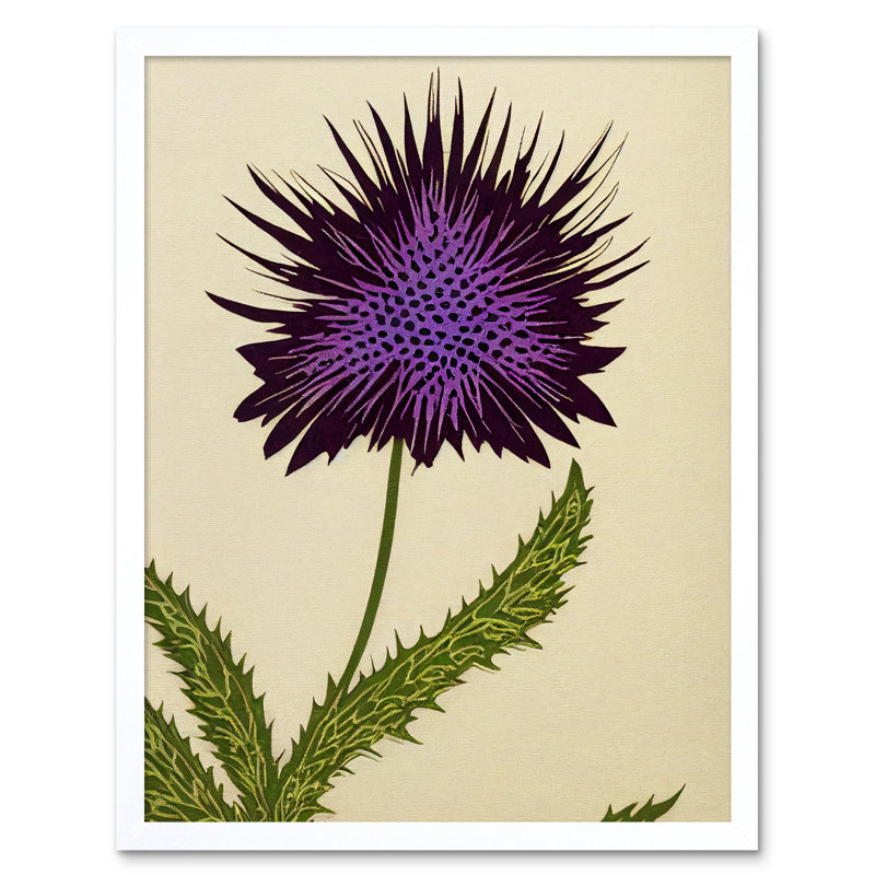 Stylized Modern Scottish Thistle Flower - Print, 43cm H x 33cm W x 2cm D, White Framed Paper