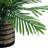 28'' Faux Palm Plant in Wicker/Rattan Pot