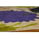 Aiyla Geometric Indoor Rug