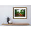Coconut Dream Print by Joseph Regan-66911131-66911133