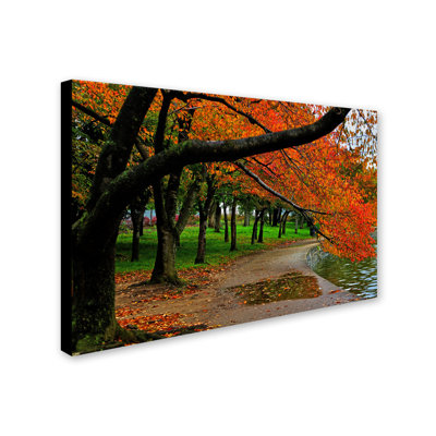 Gronseth 'Tidal Basin Autumn 2 Photographic Print on Wrapped Canvas