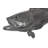 Estuary Cod Fish Wall Décor