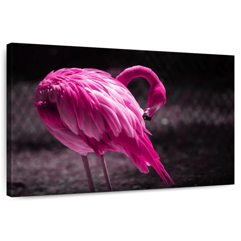 Magnifique flamant rose Brampt, H 32 po x l 48 po