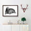 Walrus in Black & White by George Shaw - Picture Frame Drawing Print-55605475-55605476