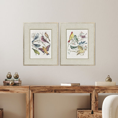 Variété d'oiseau, art encadré