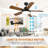 Thar 44'' Ceiling Fan with LED Lights