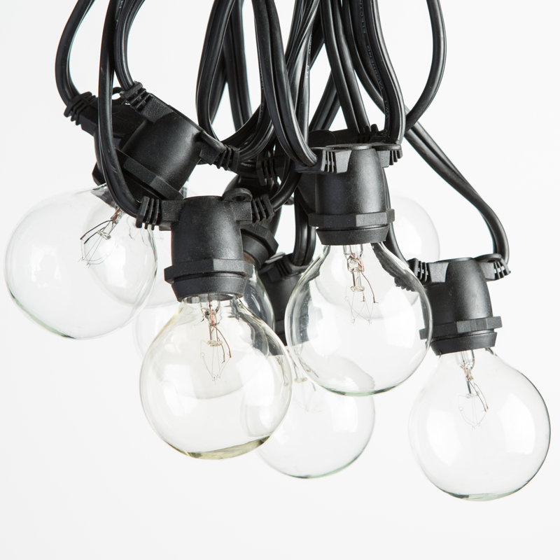 Outdoor 80 - Bulb 100'' Plug-in Globe String Light, Black
