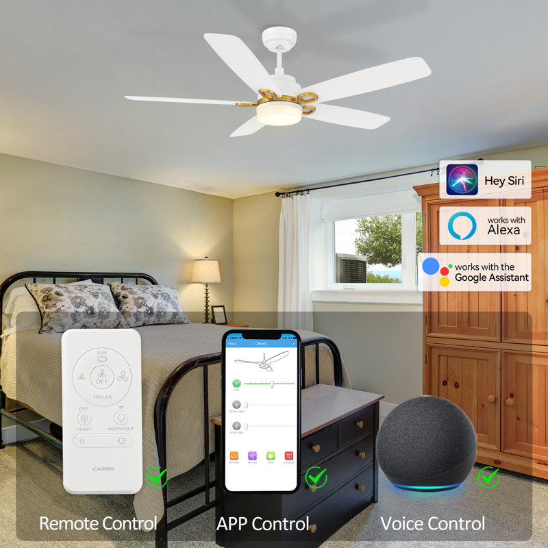 Mikali 52'' Ceiling Fan with LED Lights