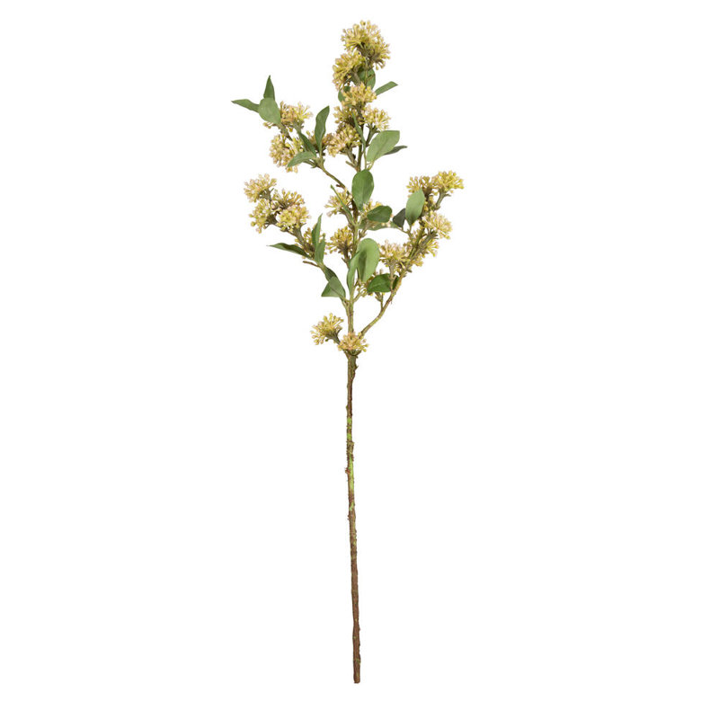 Berry Arrangement, Yellow