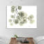 «Eucalyptus - L257», impression sur toile tendue-23604640