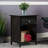 Buckholts End Table with Storage
