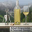 Stainless Steel Corkscrew
