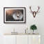 Floating Dandelion Seeds - Picture Frame Graphic Art Print-56713670-56713673