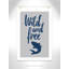 Impression sur papier Rolled Wild Shark-47479663-100541019