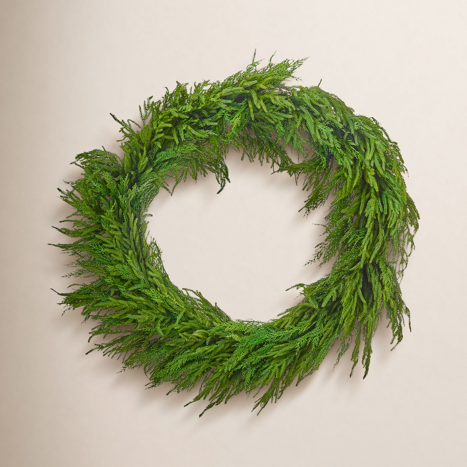 42" Real Touch Cedar Norfolk Pine Wreath