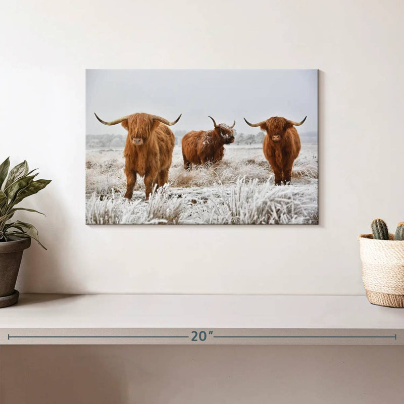 Brampt Three Highland Cows, 8" H x 12" W