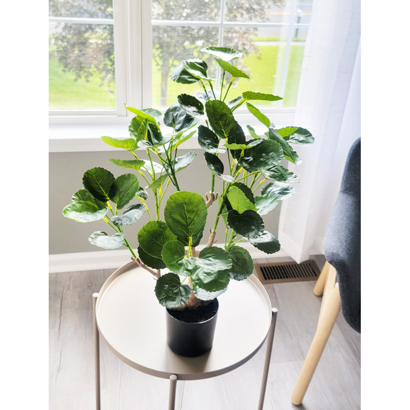 Faux Tree in Plastic Pot, 27" H x 22" W x 22" D