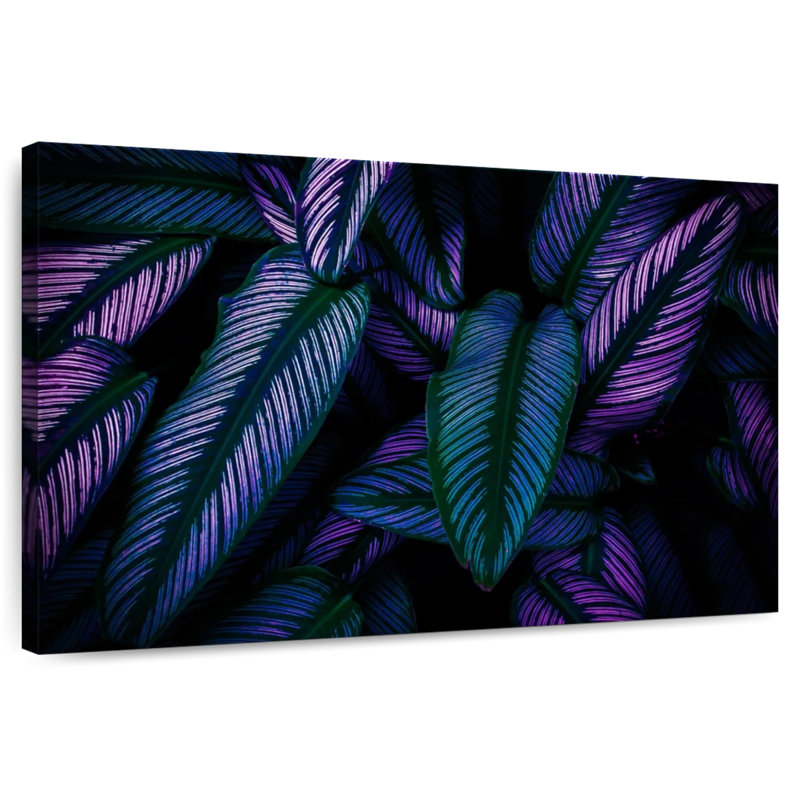 Feuilles Harnek fluorescentes, H 8 po x l 12 po