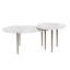 Alexia Marble Nesting Cocktail Table