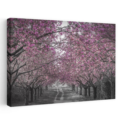 Cherry Blossom Tunnel Peaceful Romantic Serene Cherry Tree Nature Spring Wall Art Print