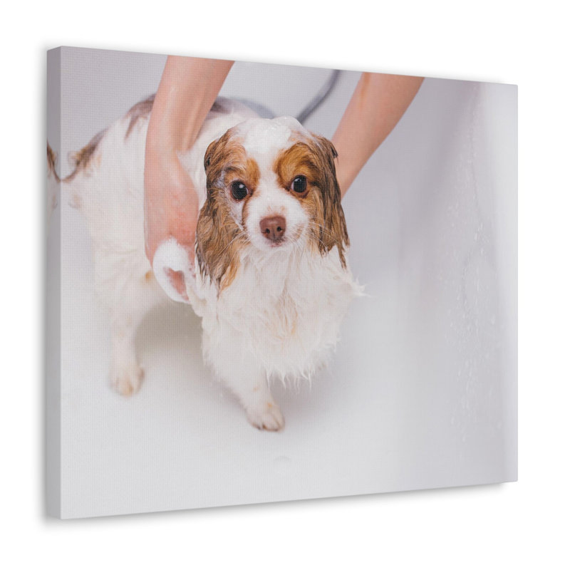 No Frame Print on Canvas