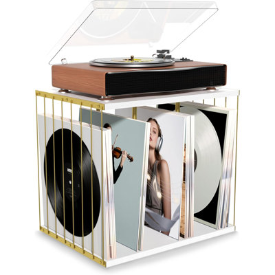 Vinyl record storage, metal and wooden vinyl record racks