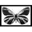 «Silver Butterfly (Horizontal)» par Jodi - impression-1135630466-1135630468