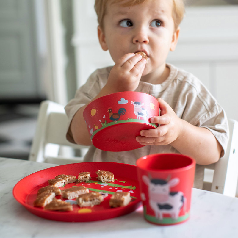 3 Piece Koziol Dinnerware Set Connect Farm, plate, bowl, mug, plastic-wood mix, organic red