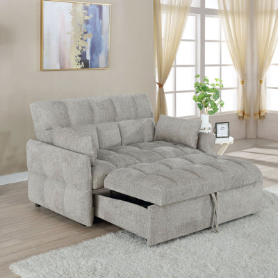 Alvara Tufted Cushion Pull-out Sleeper Sofa Bed