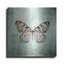 «French Butterfly V» par Debra Van Swearingen-2107100894