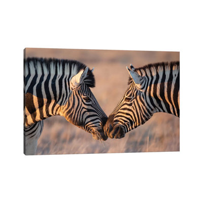 Zebra Kiss by Mogens Trolle - Wrapped Canvas Gallery-Wrapped Canvas Giclée