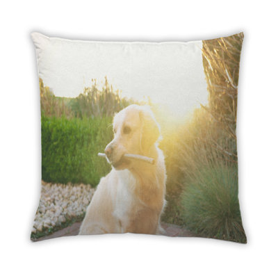 Coussin Dogs Golden Retriever 4