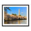 Washington Monument Above Cherry Blossoms Print by Steven Heap-65792643-65792639