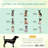 Boggs Elevated Dog Bed/Pet Cot