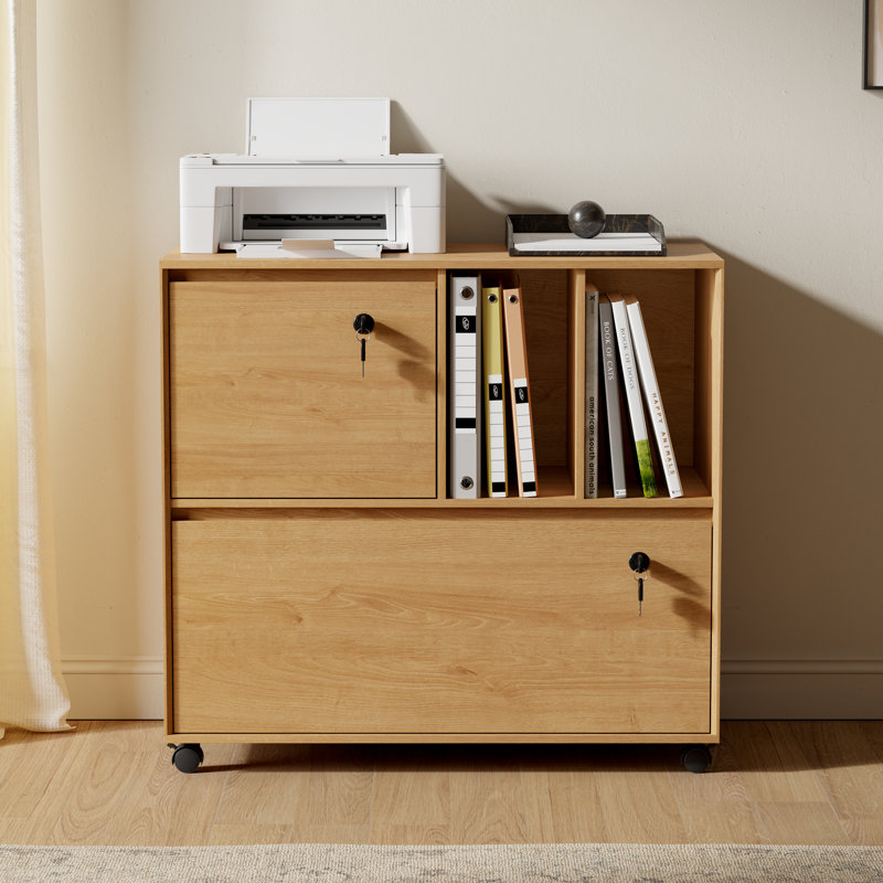 2-Drawer Locking File Cabinet with Keys, Full-Extension Drawers, Adjustable Hanging Rail for Legal/Letter/A4 Office Storage