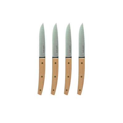 Costa Nova 4 Piece Stainless Steel (18/10) Steak Knife Set