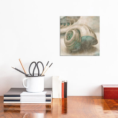 Coastal Gems II by John Seba - Print on Canvas