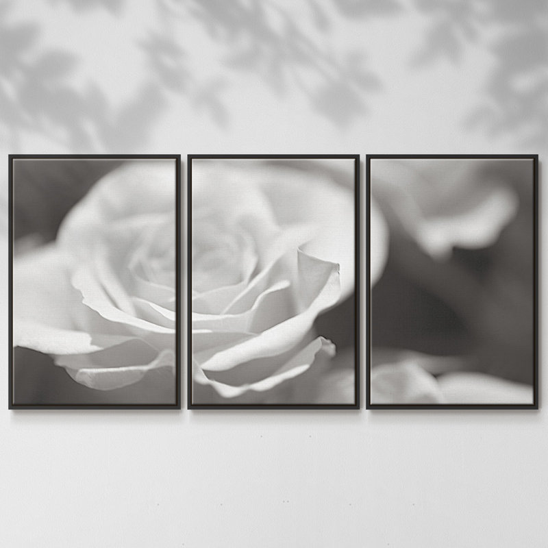 Roseudes IV - Toile encadrée multi-pièces, Noir, H 36 po x l 75 po x P 2 po