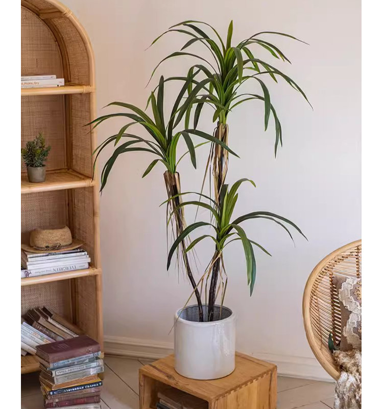 Fausse plante Dracaena, H 82,6 po x l 7,8 po x P 7,8 po
