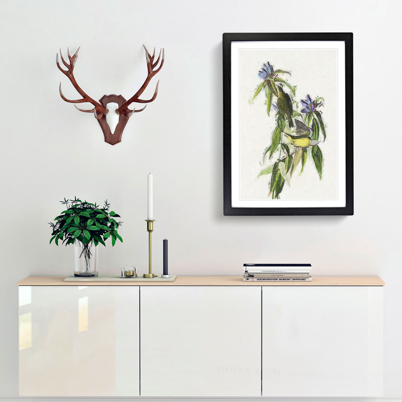 Connecticut Warbler Birds by John Audubon - Picture Frame Painting Print, 36cm H x 27cm W x 2cm D, Black Framed