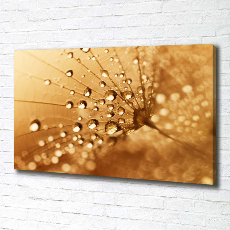 Dandelion - Wrapped Canvas Print