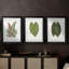 Feuilles de collection IV - impression encadrée sur mesure de qualité supérieure - 3 pièces-116125610