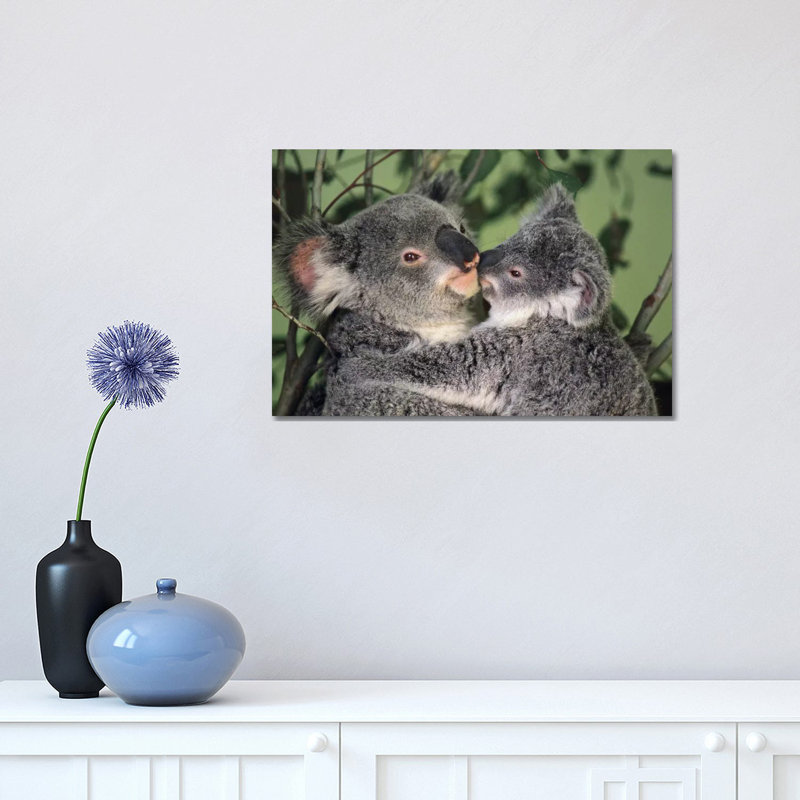 Koala Mother With Joey, Australia by Gerry Ellis - Wrapped Canvas Print, 30.48 cm H x 45.72 cm W