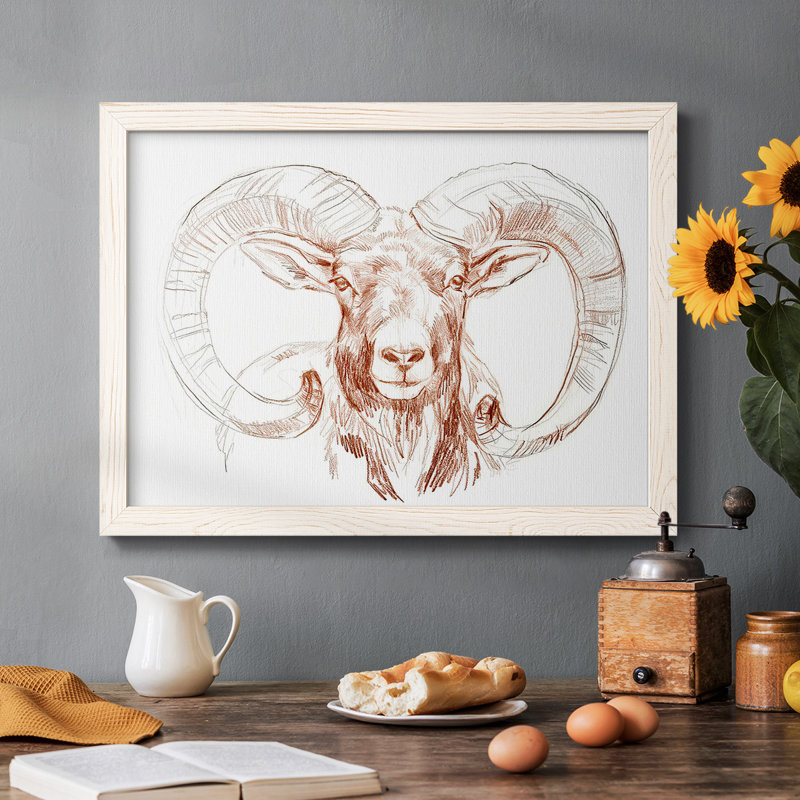 «Big Horn Sheep I», reproduction sur toile, Blanc, H 22 po x l 32 po