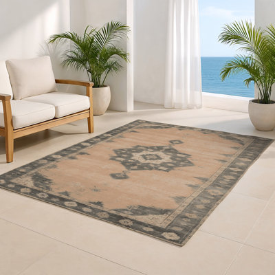 Tapis intérieur et extérieur brun Overdyed