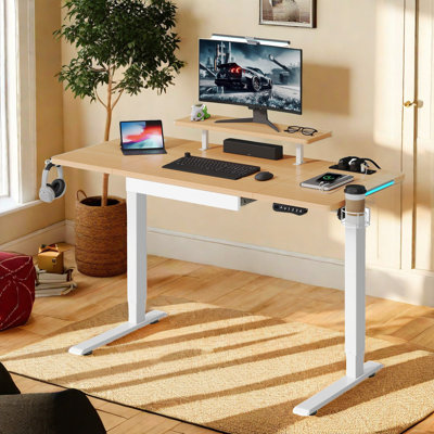 Pyrrhos Electric Height Adjustable Rectangle Standing Desk with Hutch