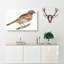 Bullfinch by Johan Teyler - Wrapped Canvas-55362897