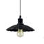 Bunceton 1 - Light Black Pendant-425055968