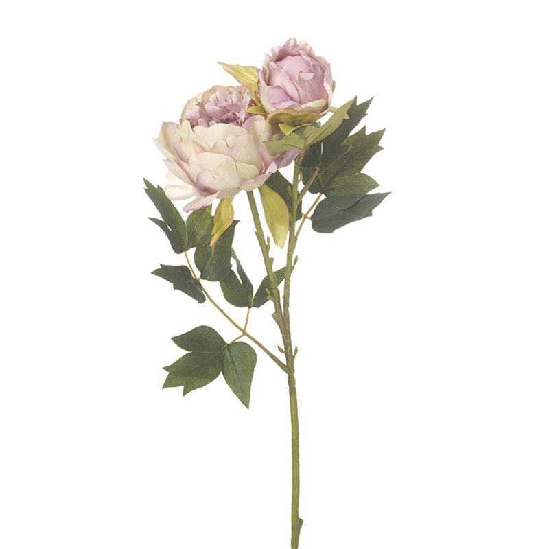 Peony Arrangement, Pink