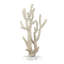 Sculpture Watchet corail en polystone crème avec base en acrylique transparent